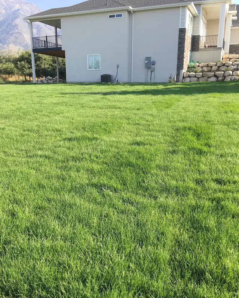 Large backyard sod lawn beside a retaining wall in Utah
