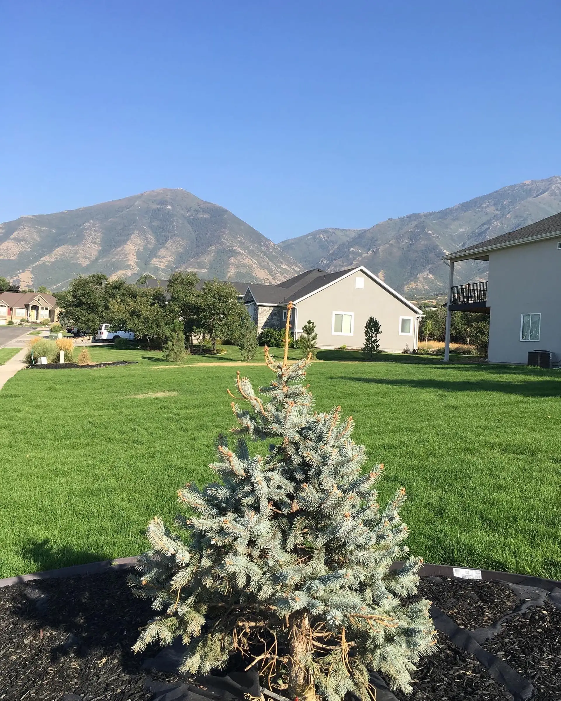 Sodded lawn with a Utah mountain view